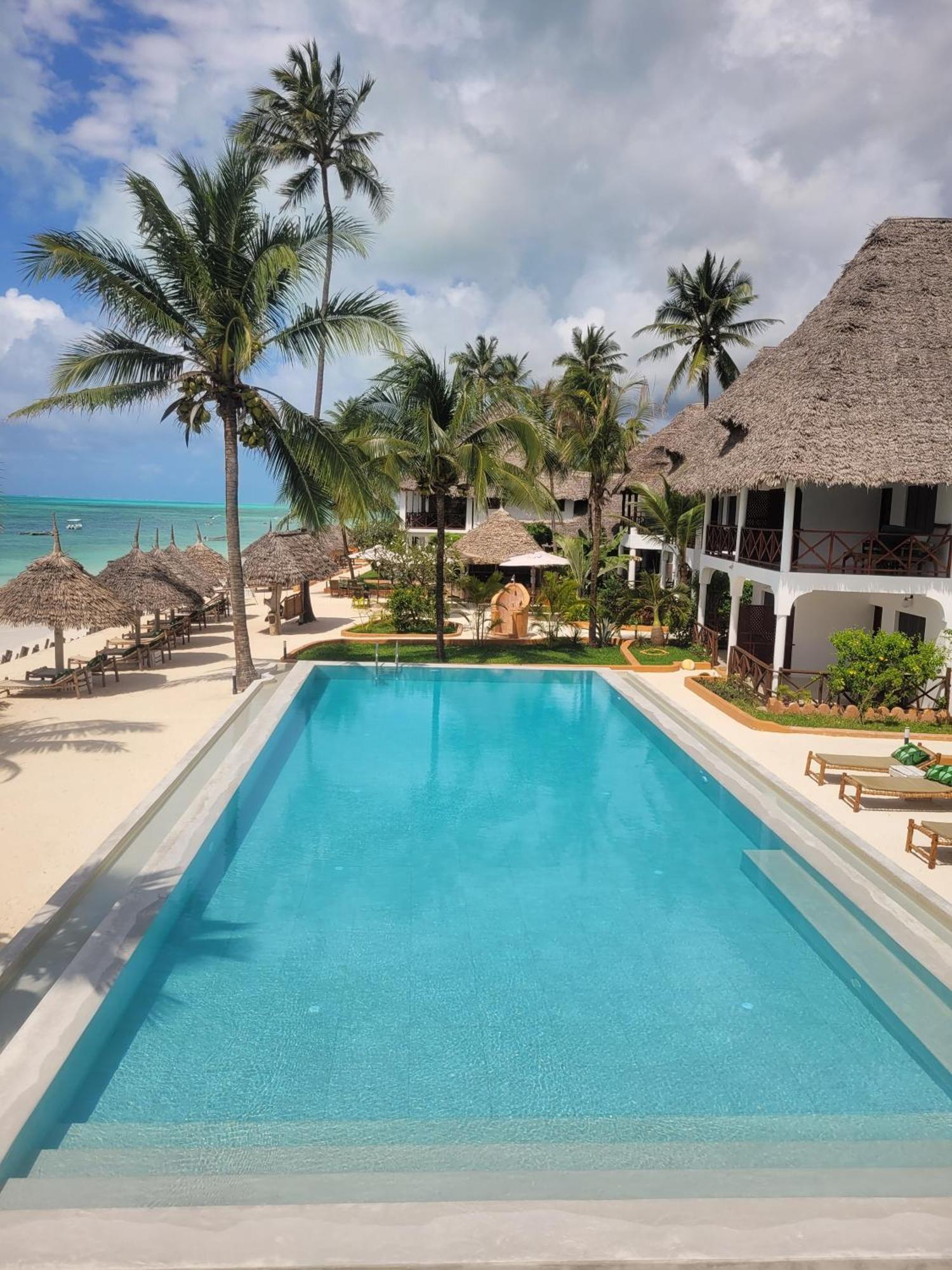 Blue Oyster Jambiani (Zanzibar)